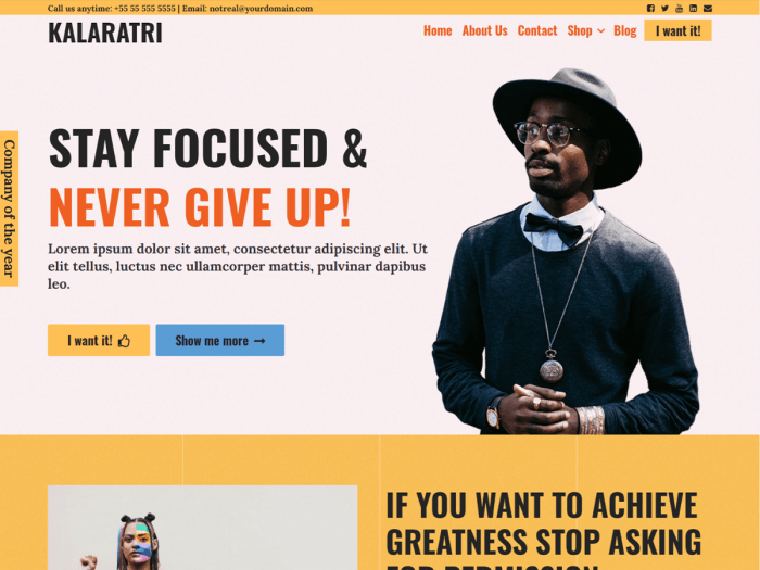 lms website theme