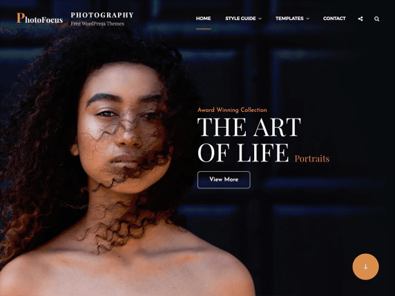 wordpress  Themes for LearnDash LMS Plugin