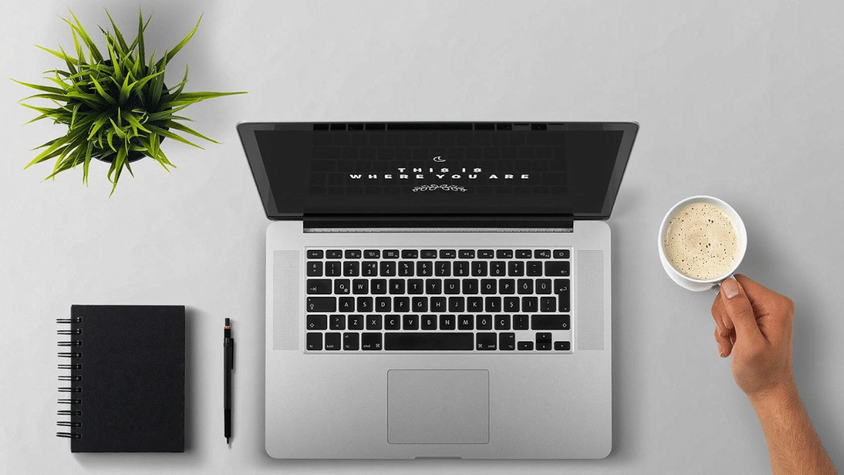 Link Building Strategies