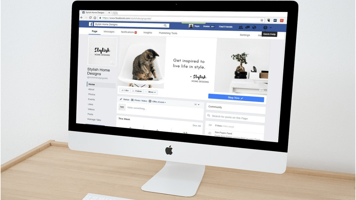Marketplace Features to Outrank