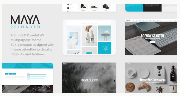 Maya Theme- Best WordPress Multisite Themes