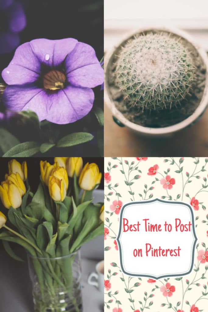 Post on Pinterest