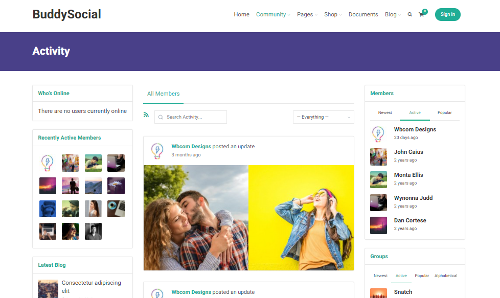 BuddyBoss Theme Alternatives