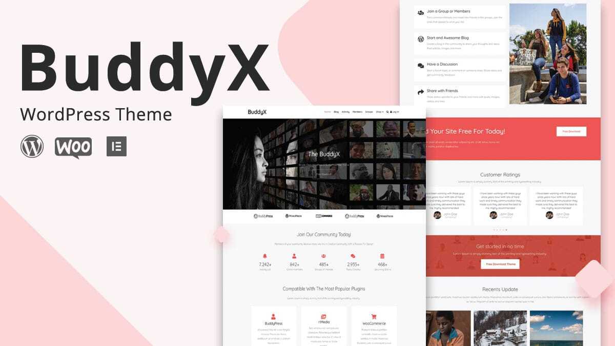 BuddyX Theme