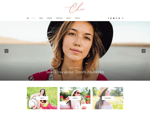 chic lite- psychologist wordpress theme