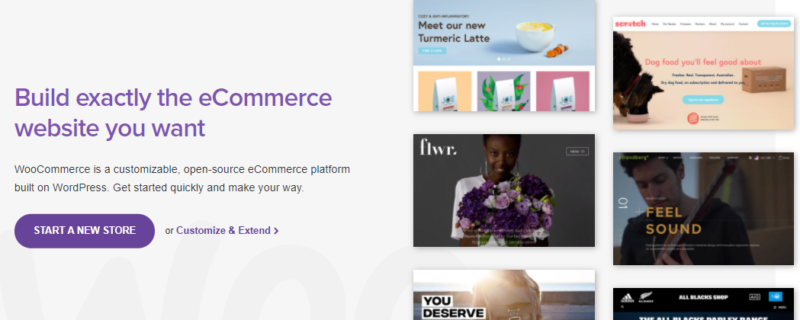 Build Membership Website