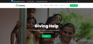 Social Activity WordPress Themes