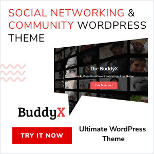 BuddyX Theme