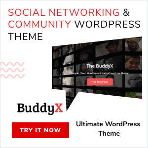 BuddyX Theme