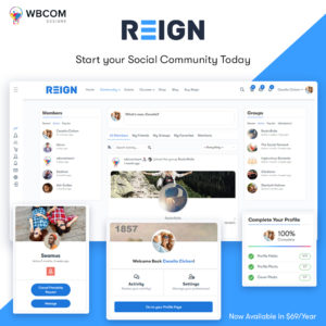 Reign Theme