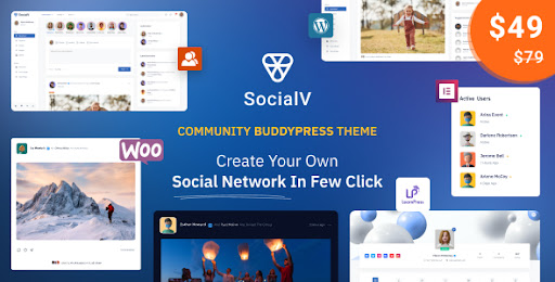 WordPress Social Network Website Theme