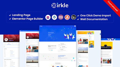 WordPress Social Network Website Theme