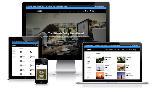WordPress Social Network Website Theme