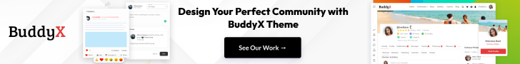 BuddyX Theme