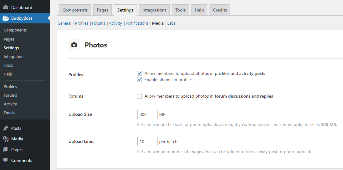 BuddyBoss Photo Attachments