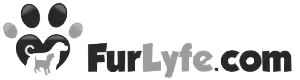 logo-11