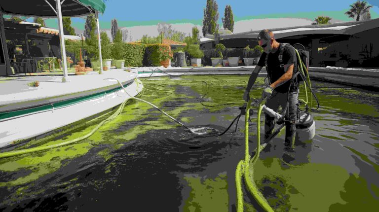 Pool Cleaning Services