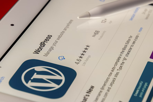 Best Uses of a WordPress Website