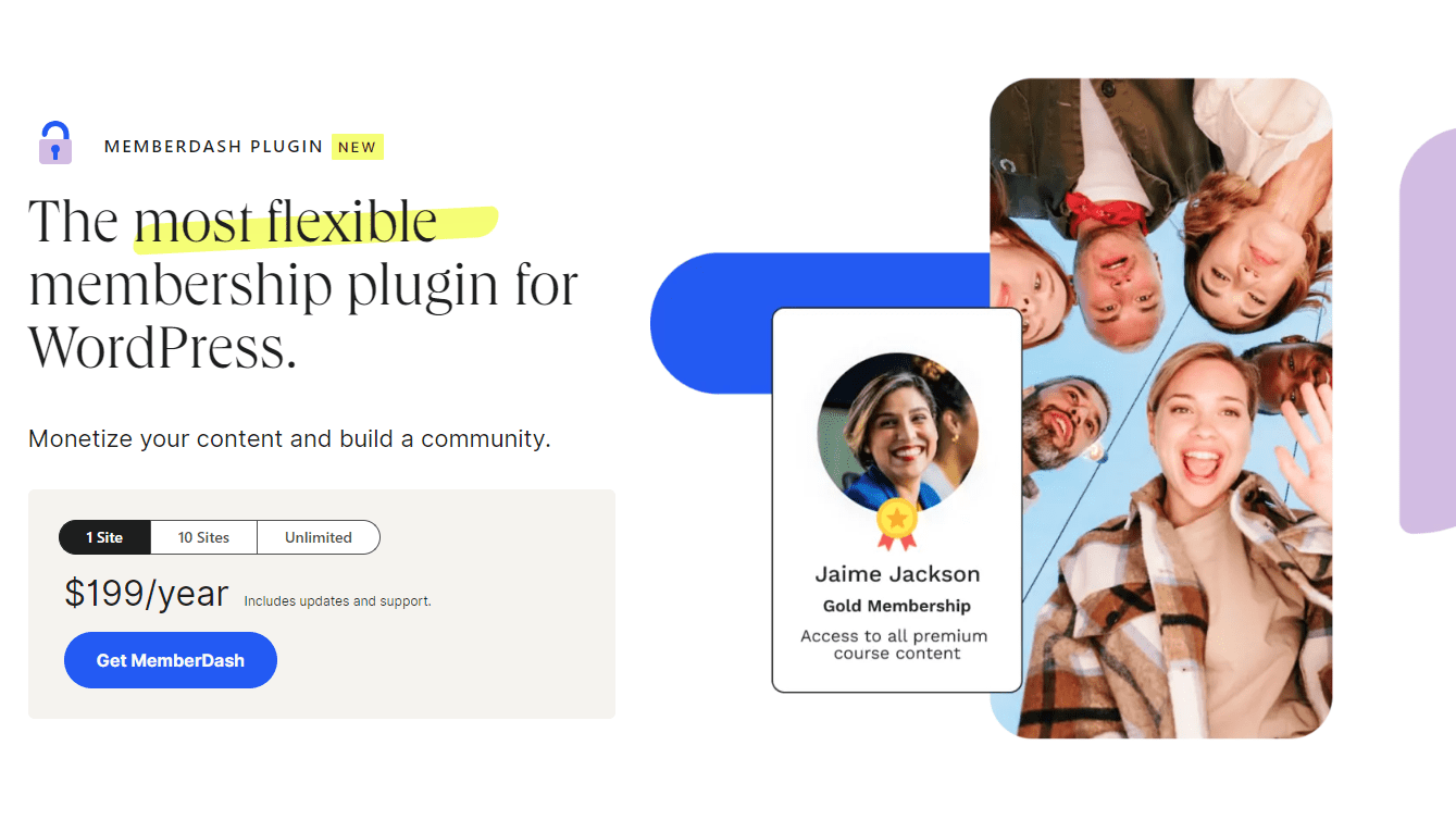 MemberDash Plugin Review