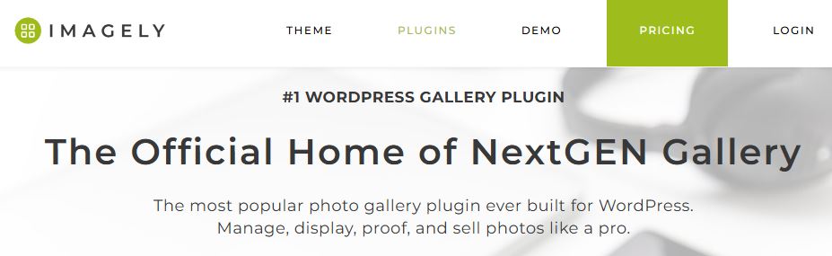 WordPress Plugins for Graphic Design