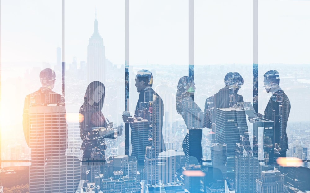 WordPress Themes for Agencies