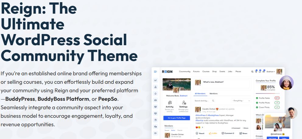WordPress Theme for Bloggers
