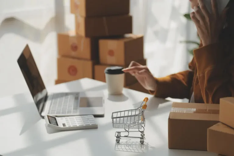 WordPress Themes for Dropshipping