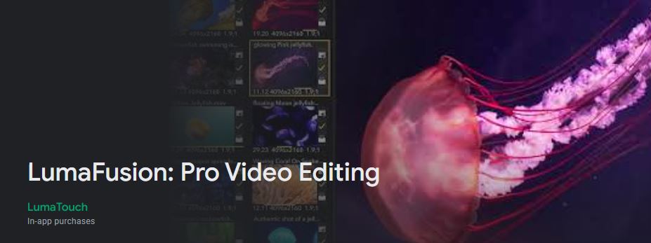 Software for Cinematic Video Editing