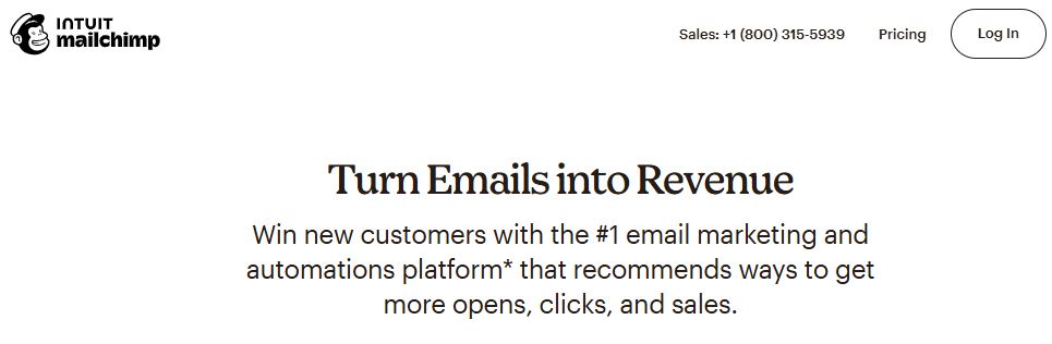 Software for Content Marketing Automation