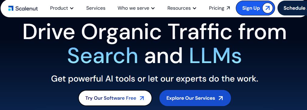 Software for AI Writing