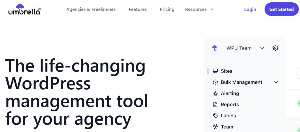 WordPress Site Monitoring Tools