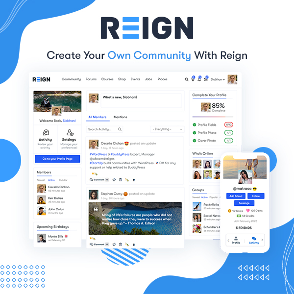 BuddyPress Theme